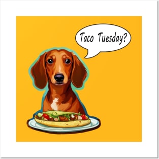 Dachshunds Love Tacos Posters and Art